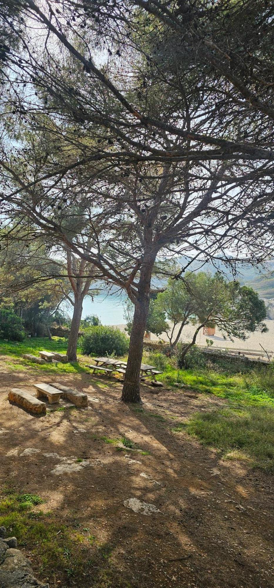 Casa Domingos Cales De Mallorca エクステリア 写真